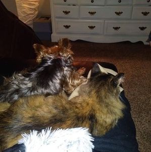 Meet your Posher, Carrie